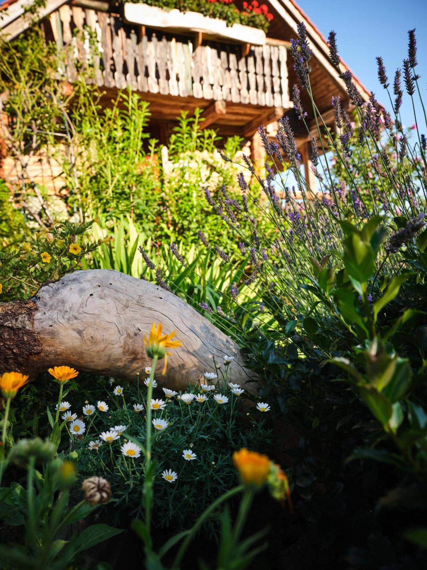 Chalets Toplak Sveti Duh na Ostrem Vrhu Exterior photo
