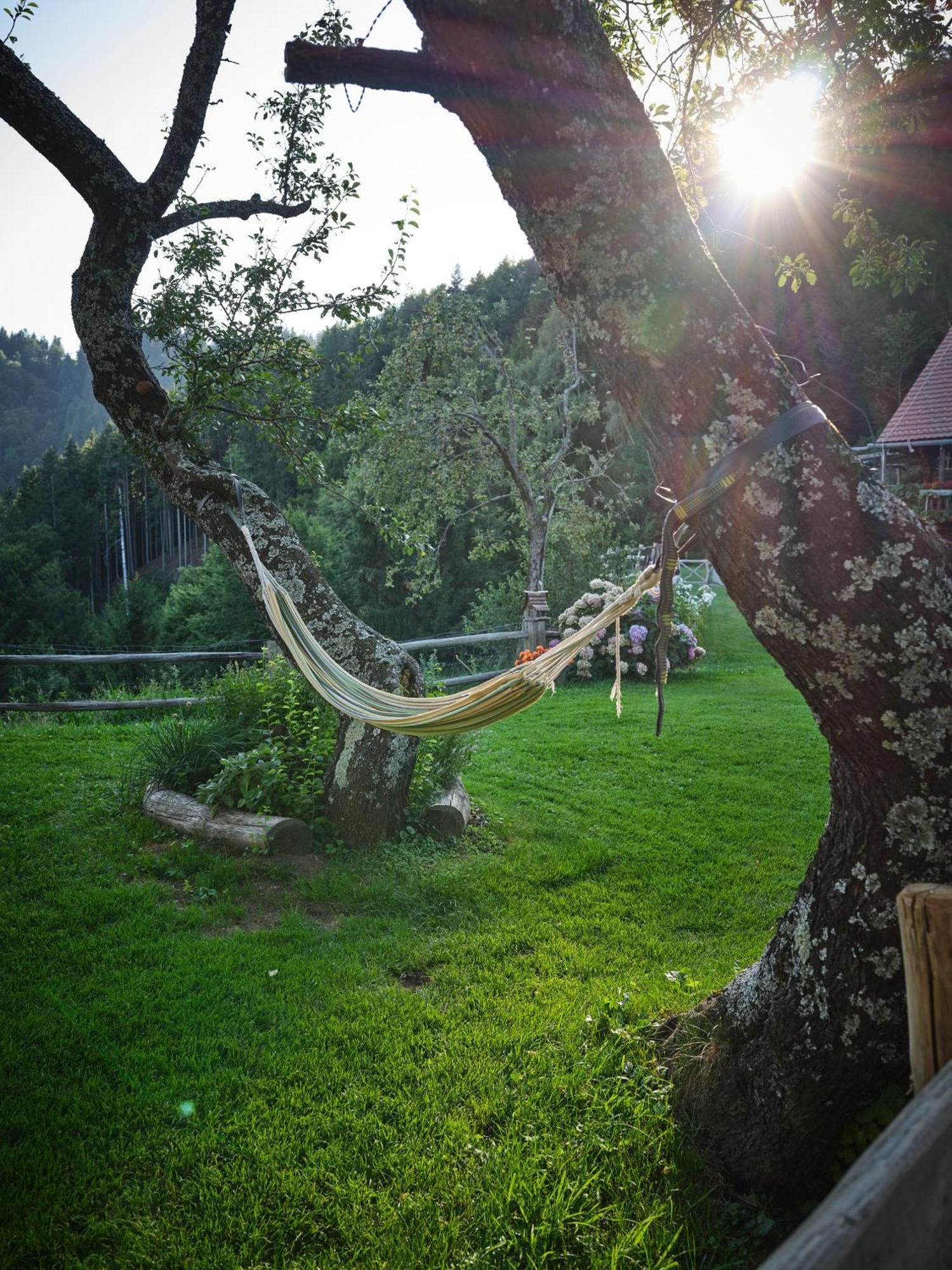 Chalets Toplak Sveti Duh na Ostrem Vrhu Exterior photo