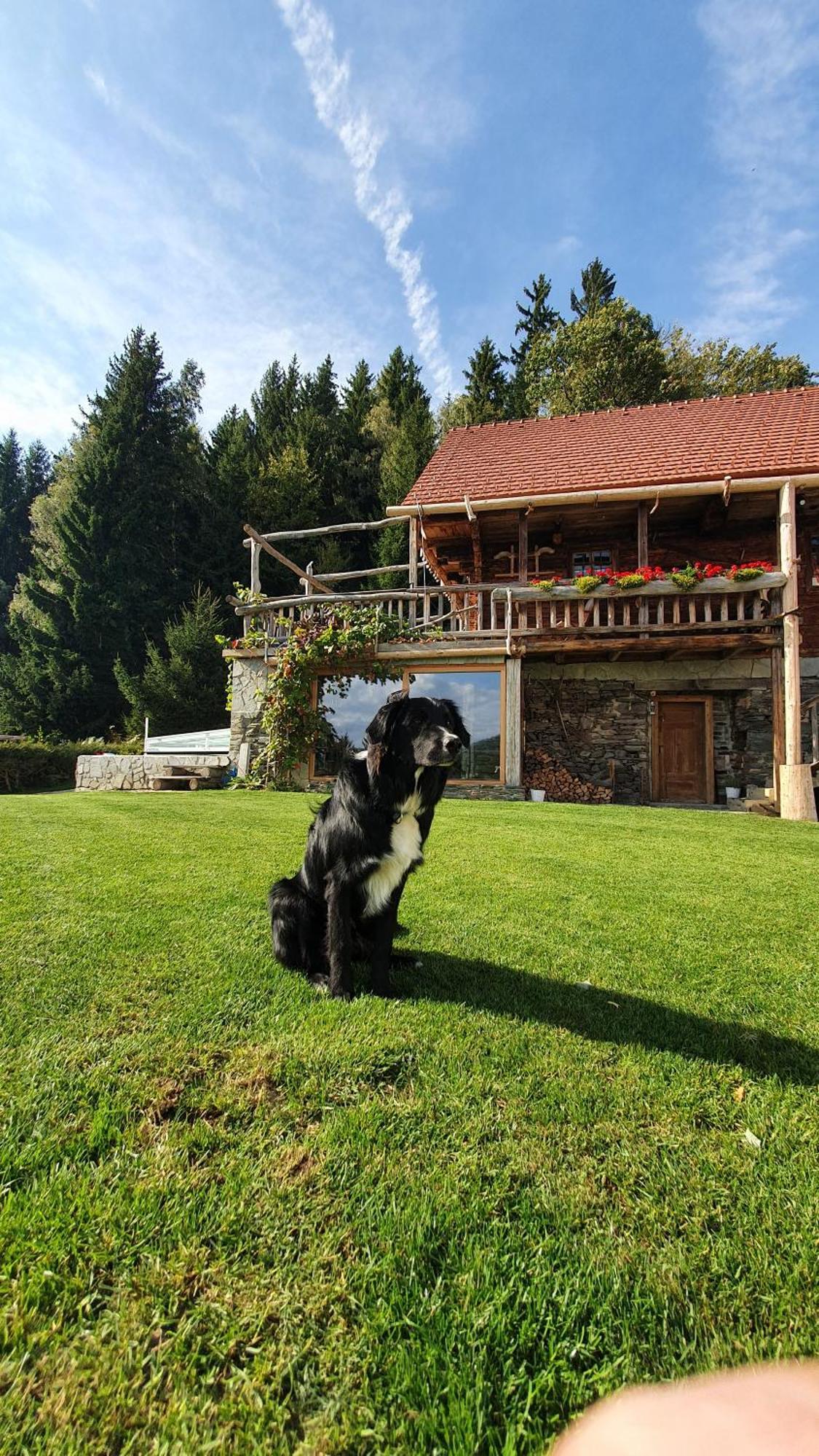 Chalets Toplak Sveti Duh na Ostrem Vrhu Exterior photo